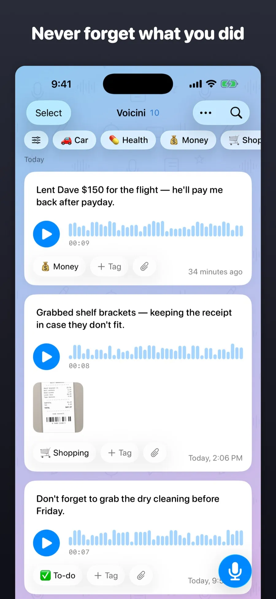 Voicini screenshot 1