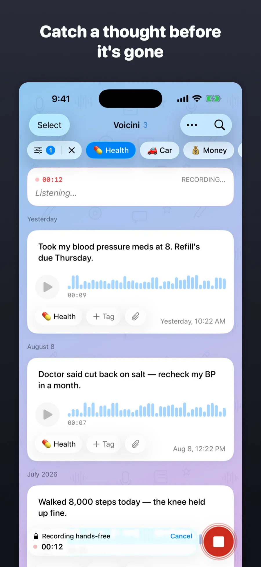 Voicini screenshot 3